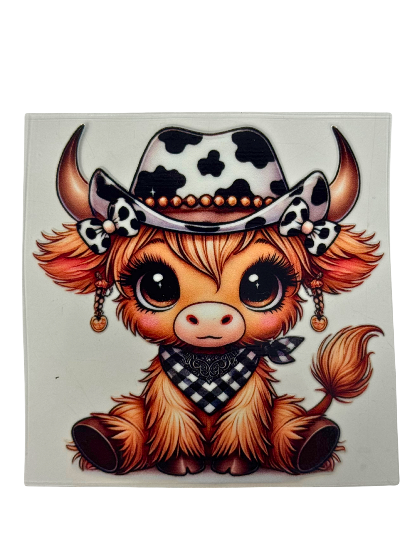 ANIMALS 16
