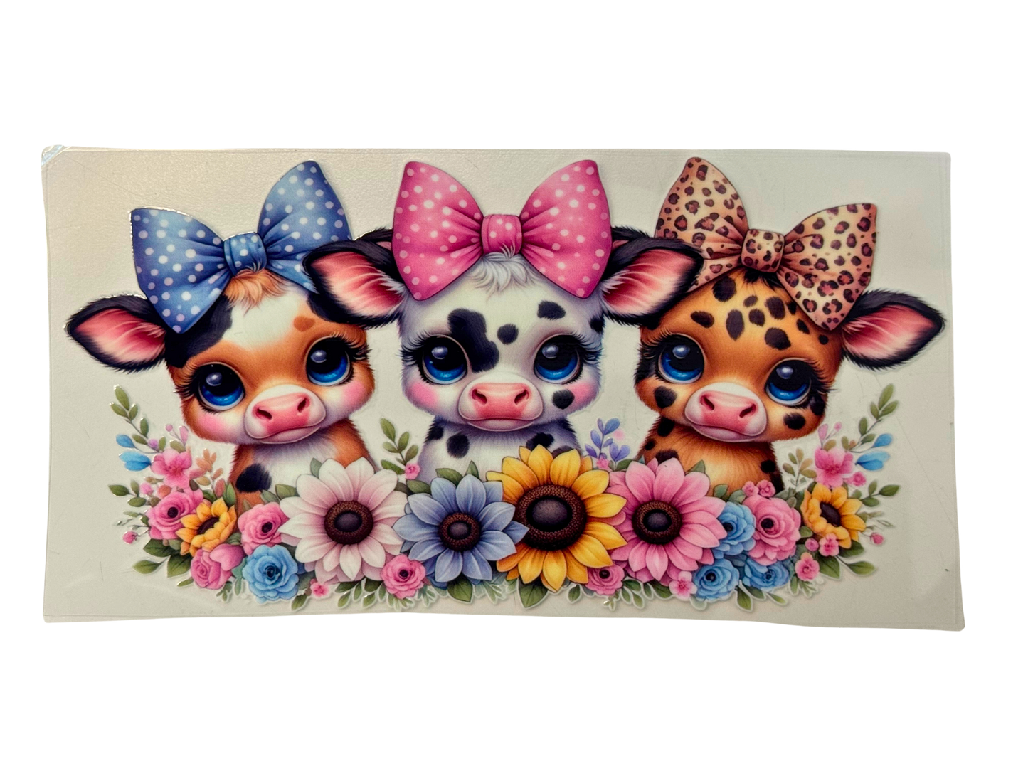 ANIMALS 9